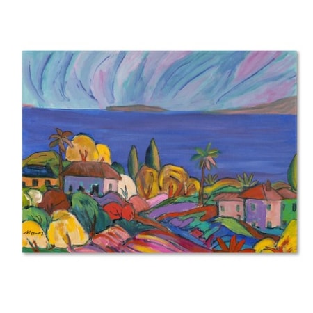 Manor Shadian 'Kihei Shore' Canvas Art,14x19